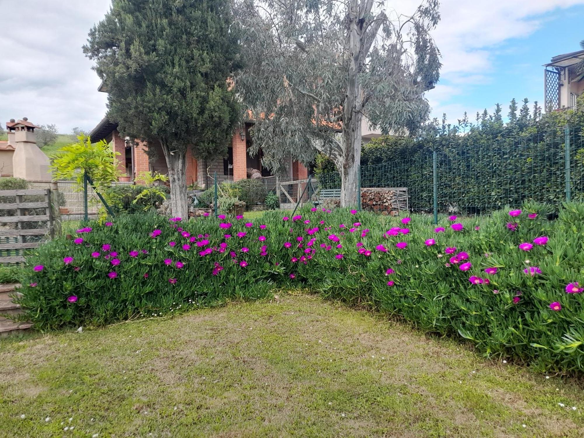 Agriturismo Santa Adriana Volterra Exterior photo